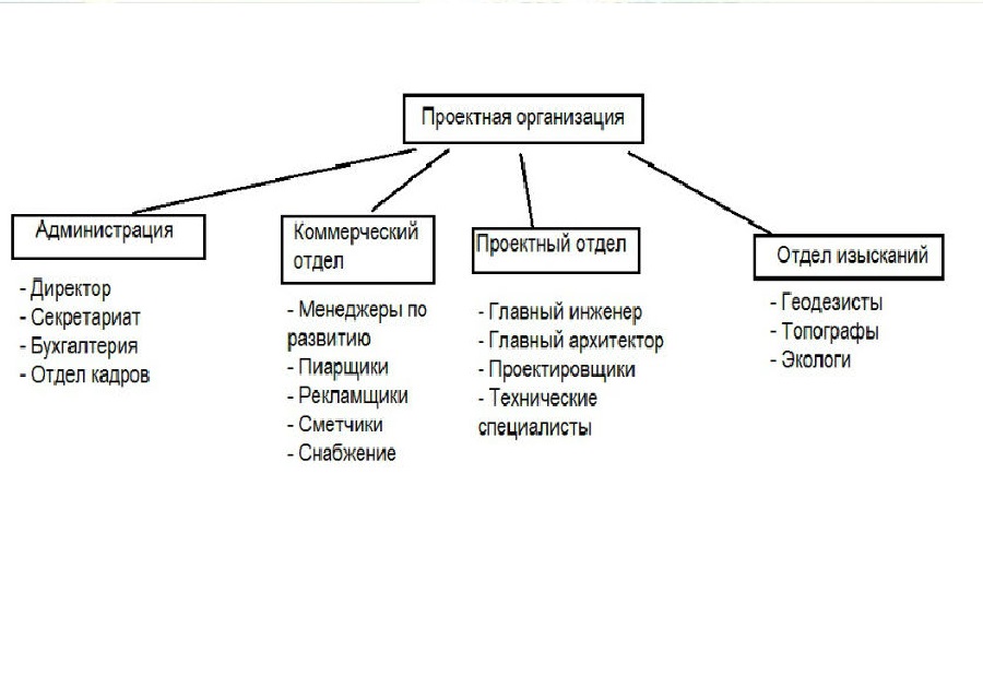  структура проектной организации