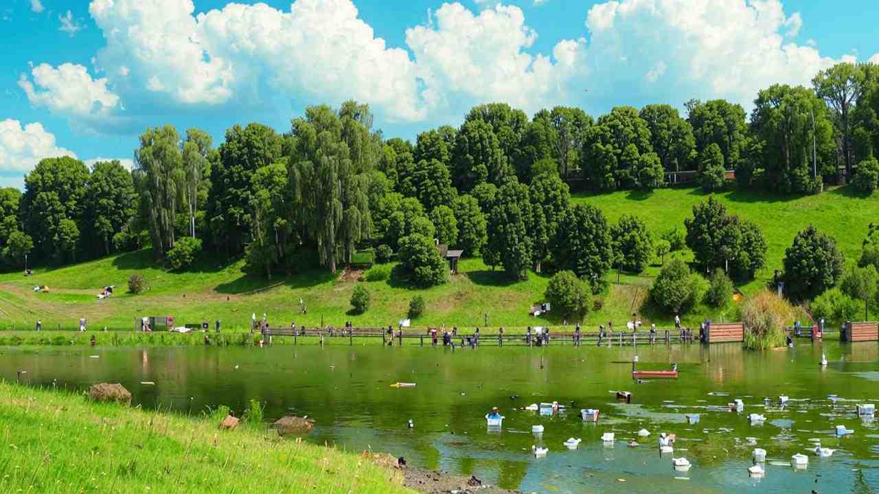 Мероприятия по охране окружающей среды